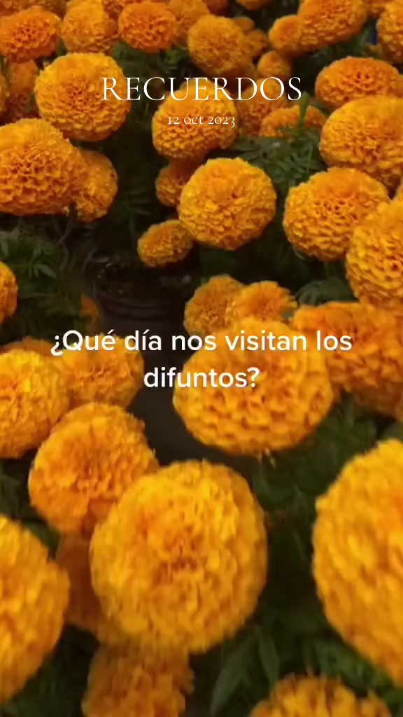 @Beatr&iacute;z🫅🏻🤩🌻
