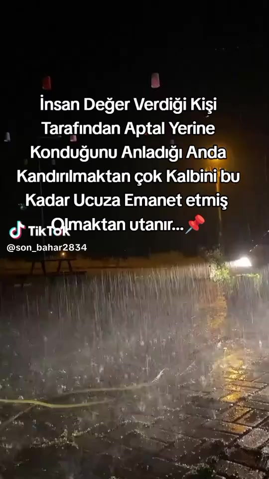 @Elif Taş