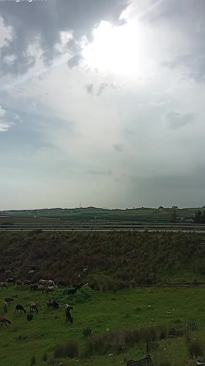 @yusuf göncü