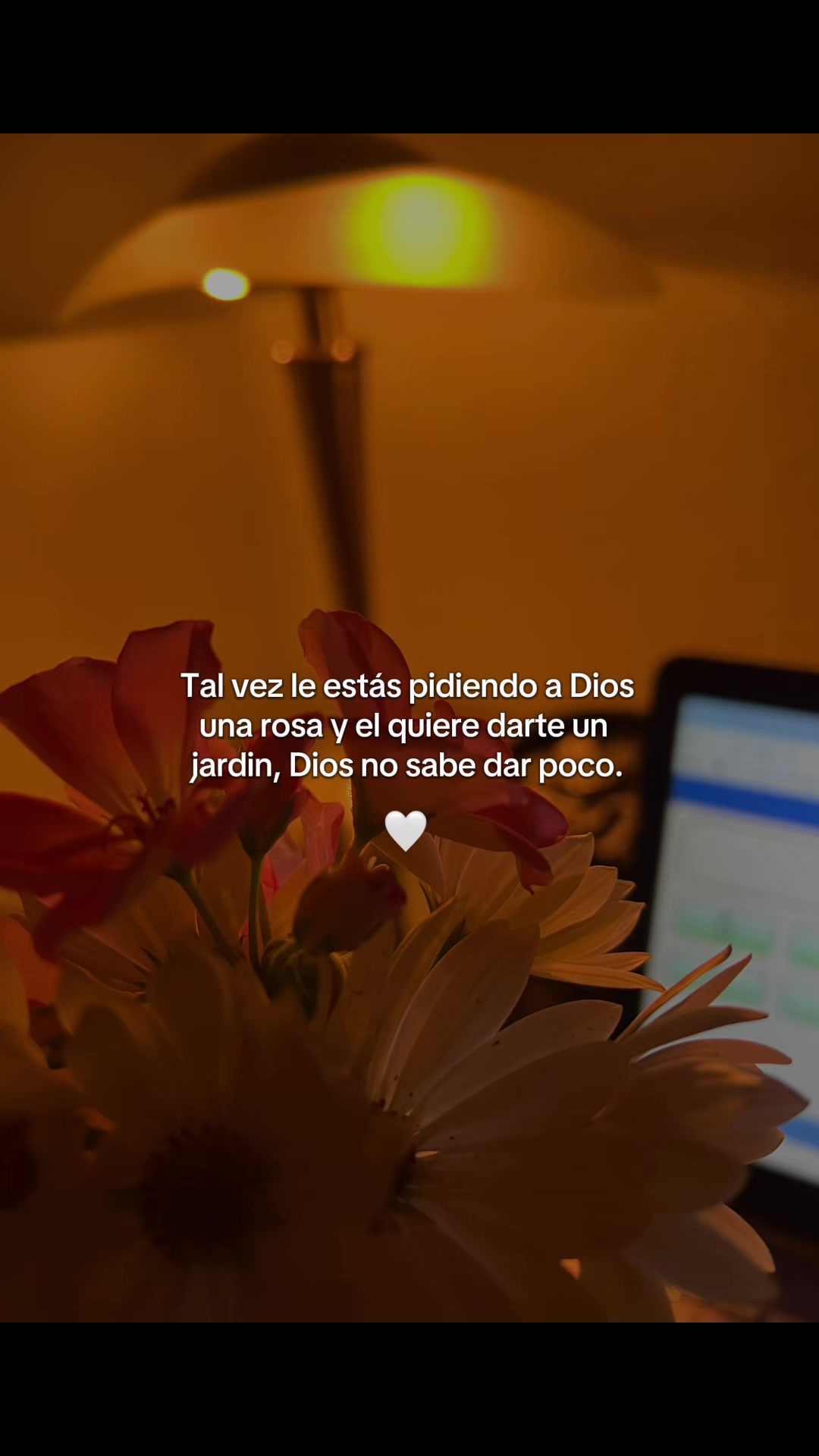 @Patricia Figueroa Manuel Reyes