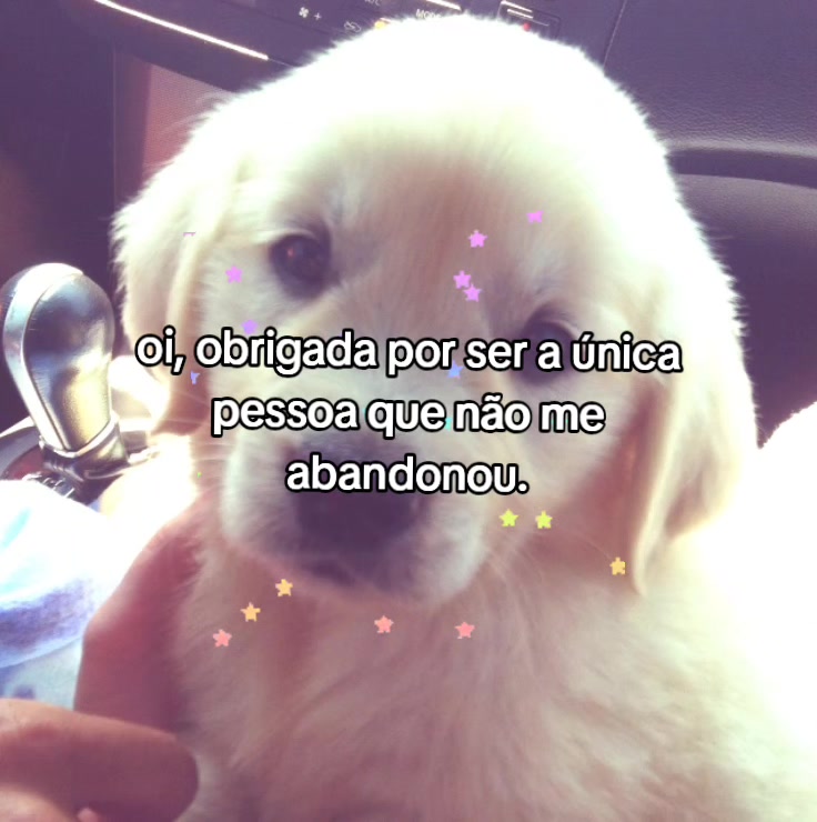 @Lari