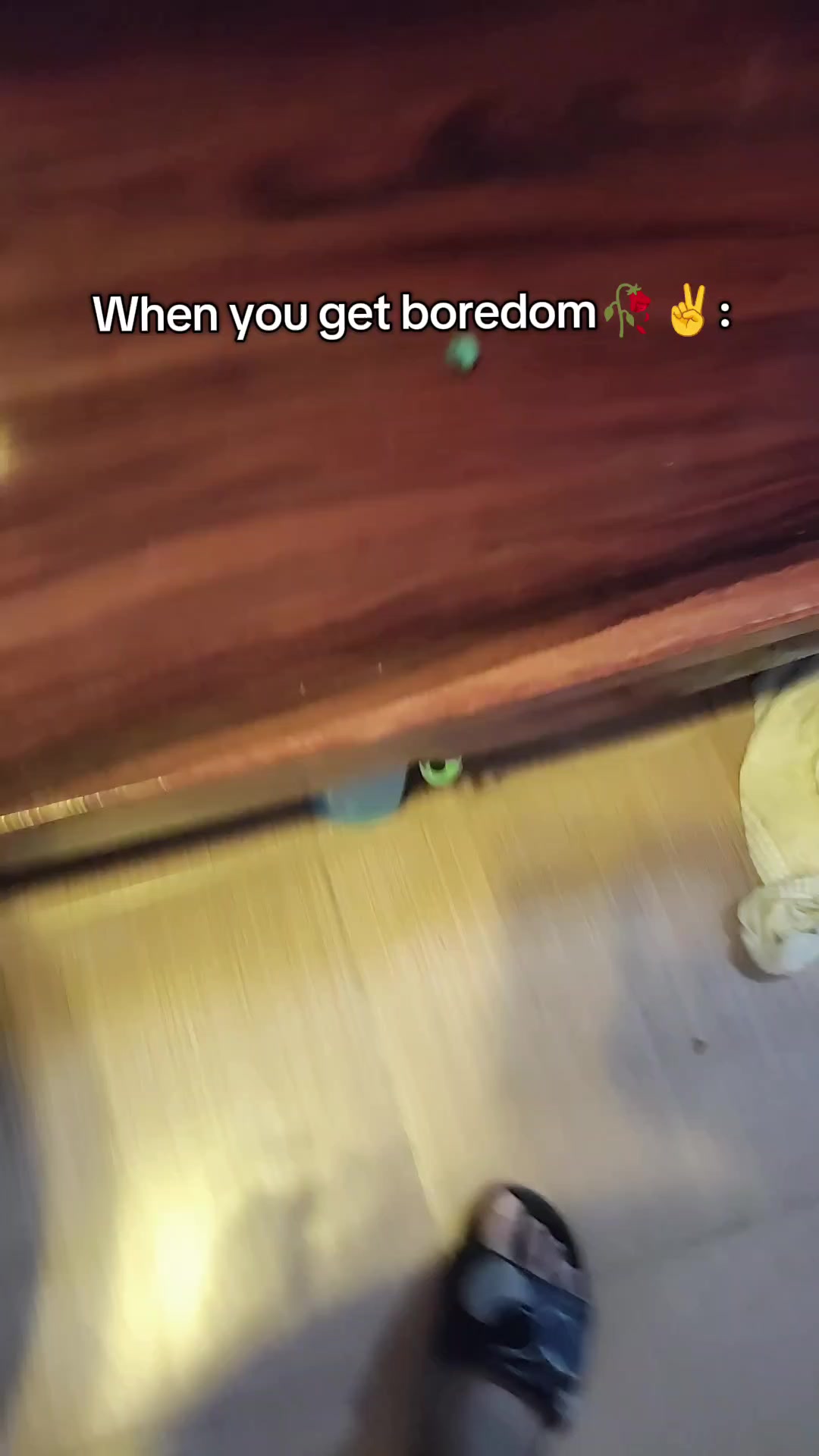 @sensei_gubbi