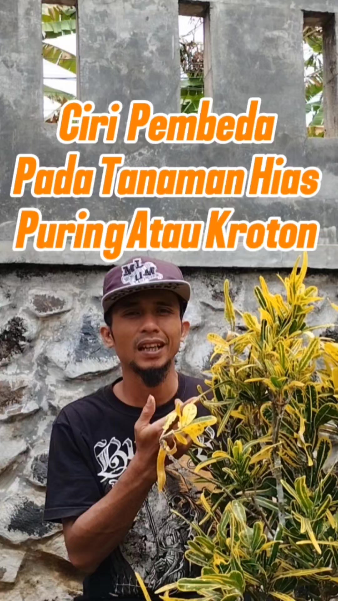 @Bukit Farming