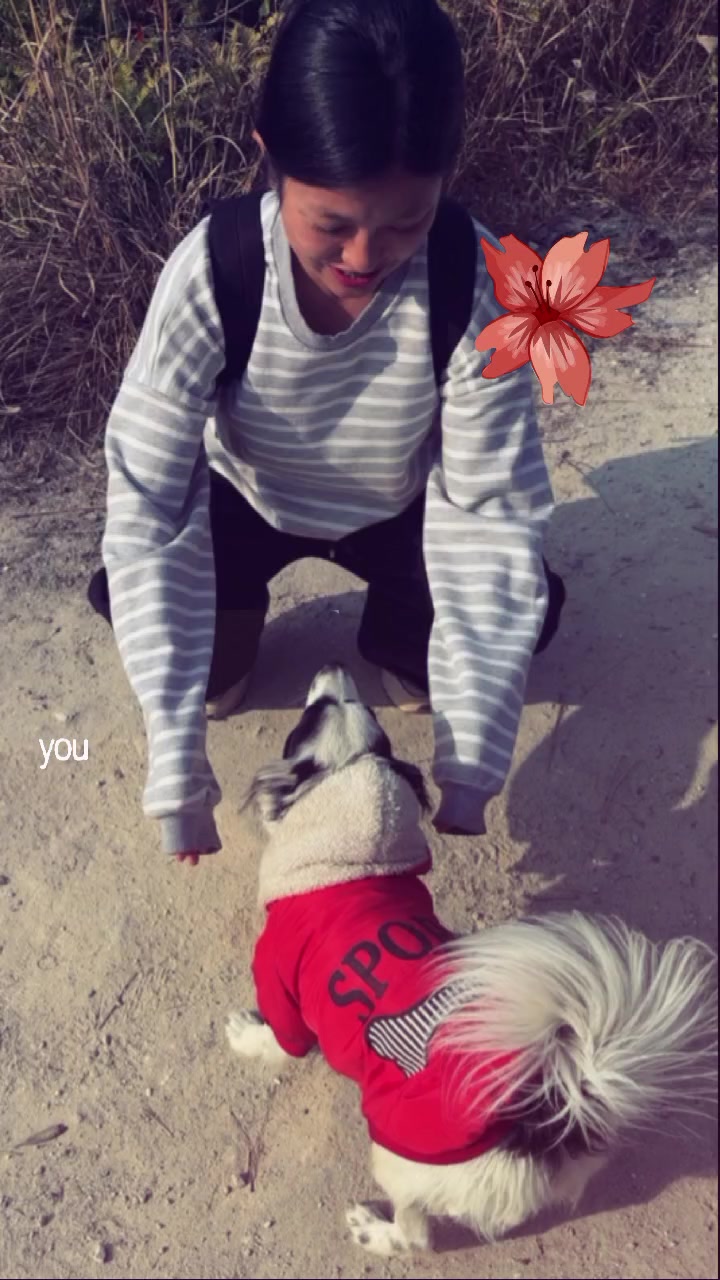 @jennie