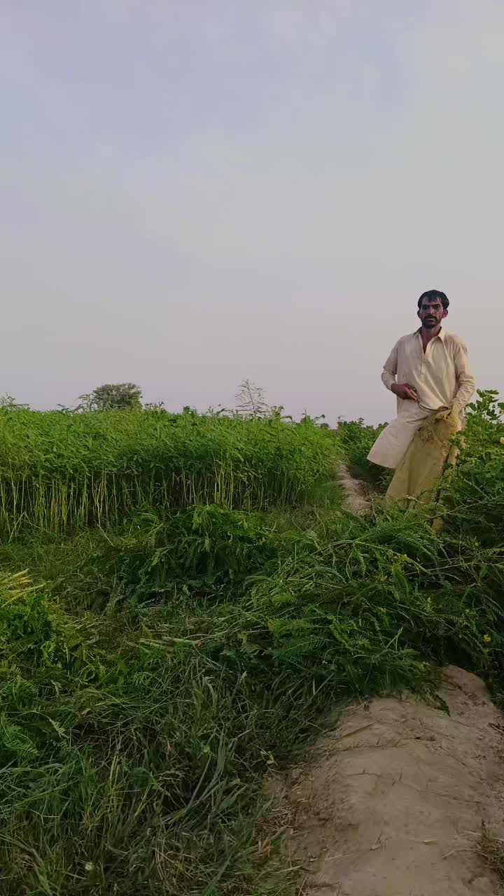 @👑Ch Atif Jutt👑