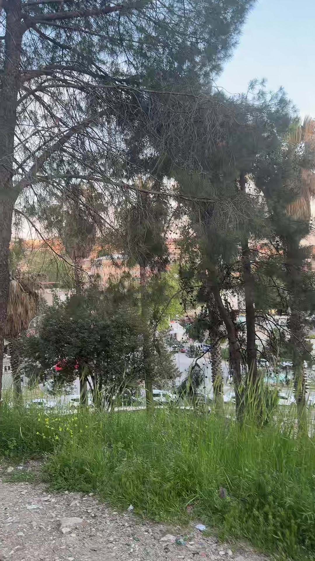 @Kasap halit