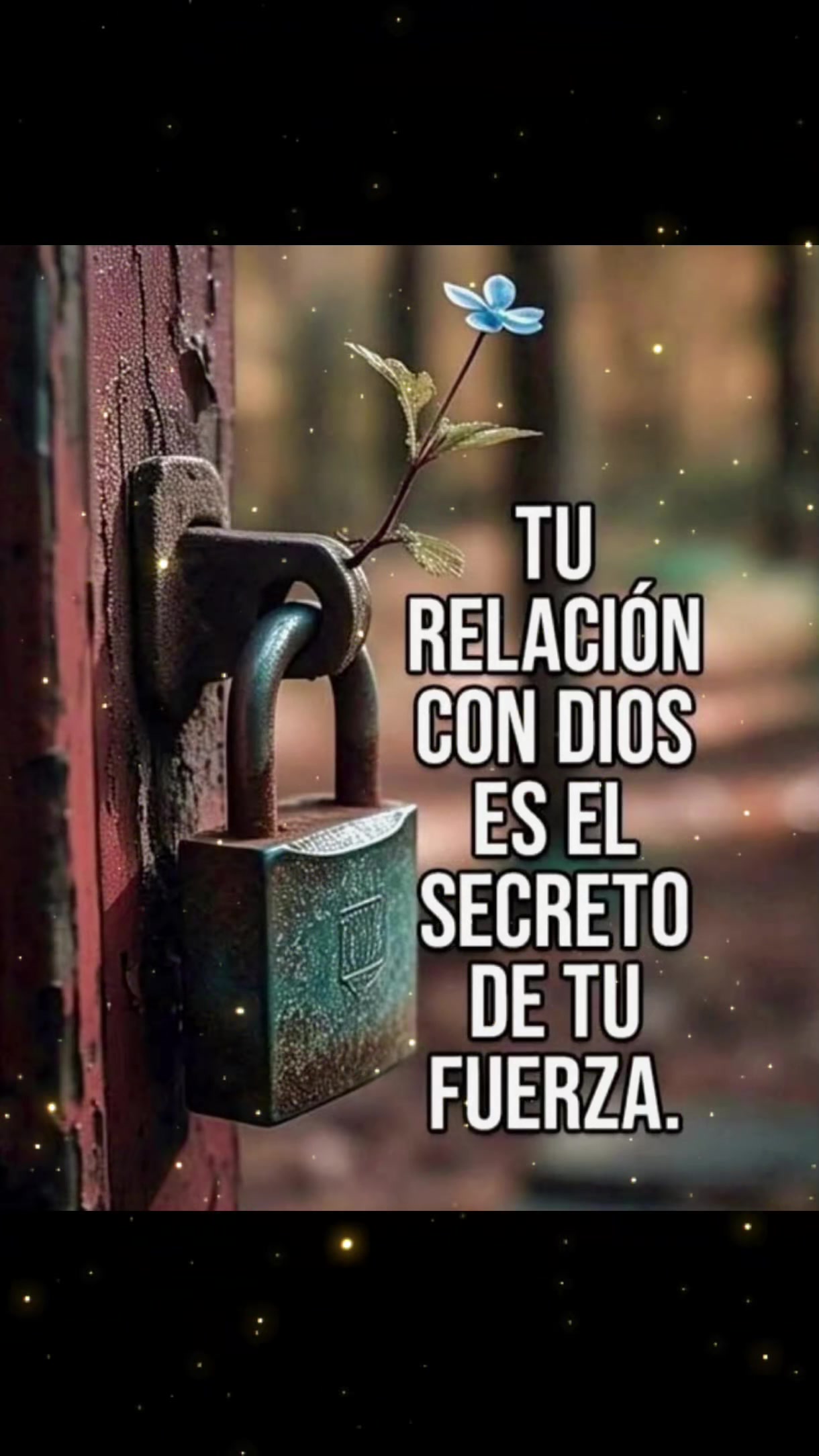 @José A. Quevedo Navarro