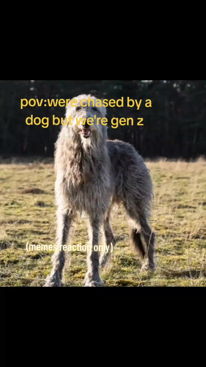 @question123
