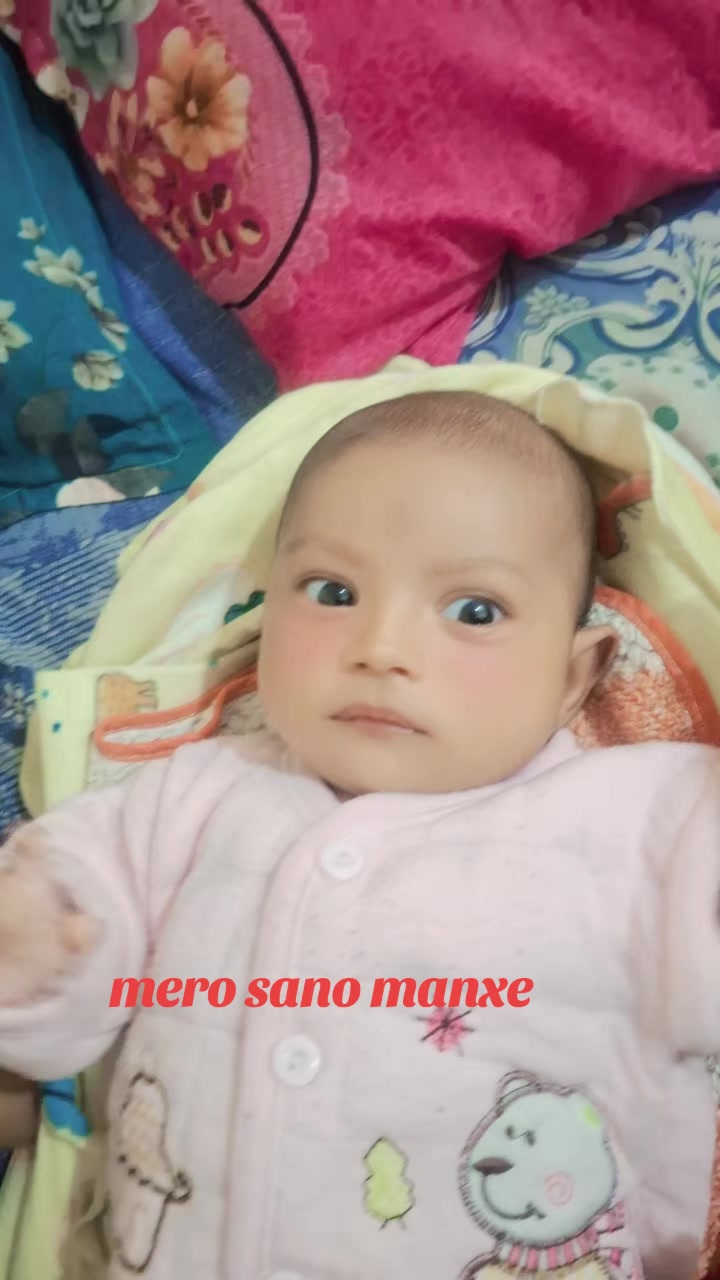 @Anil Dhami