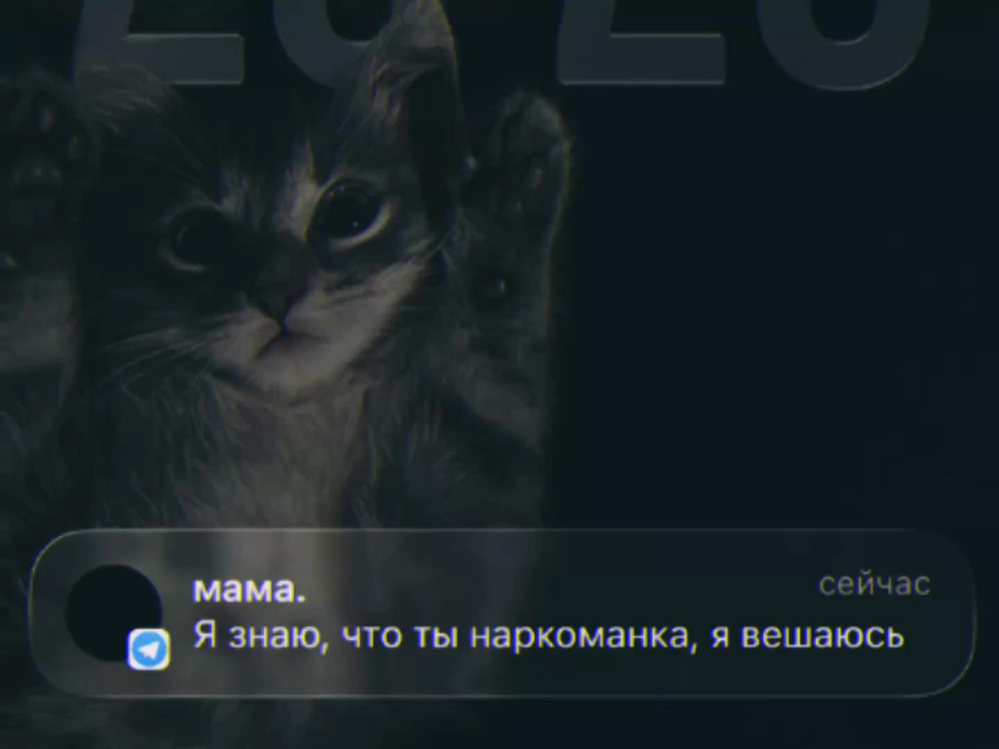 @тгк: TEMN1KOVA🪫