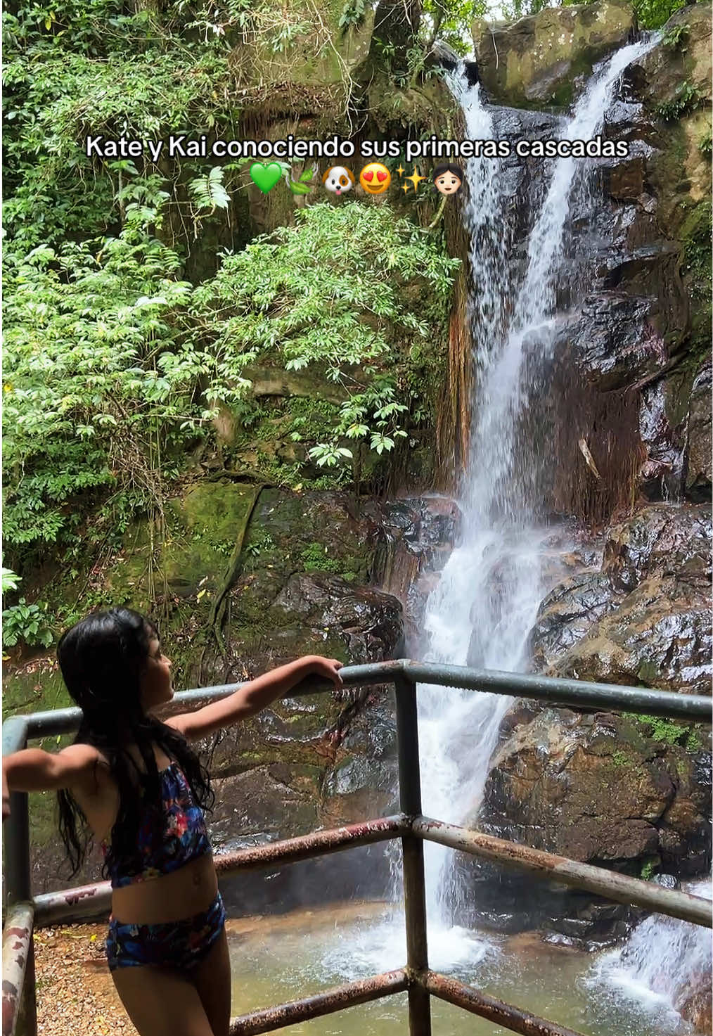 @Yosii