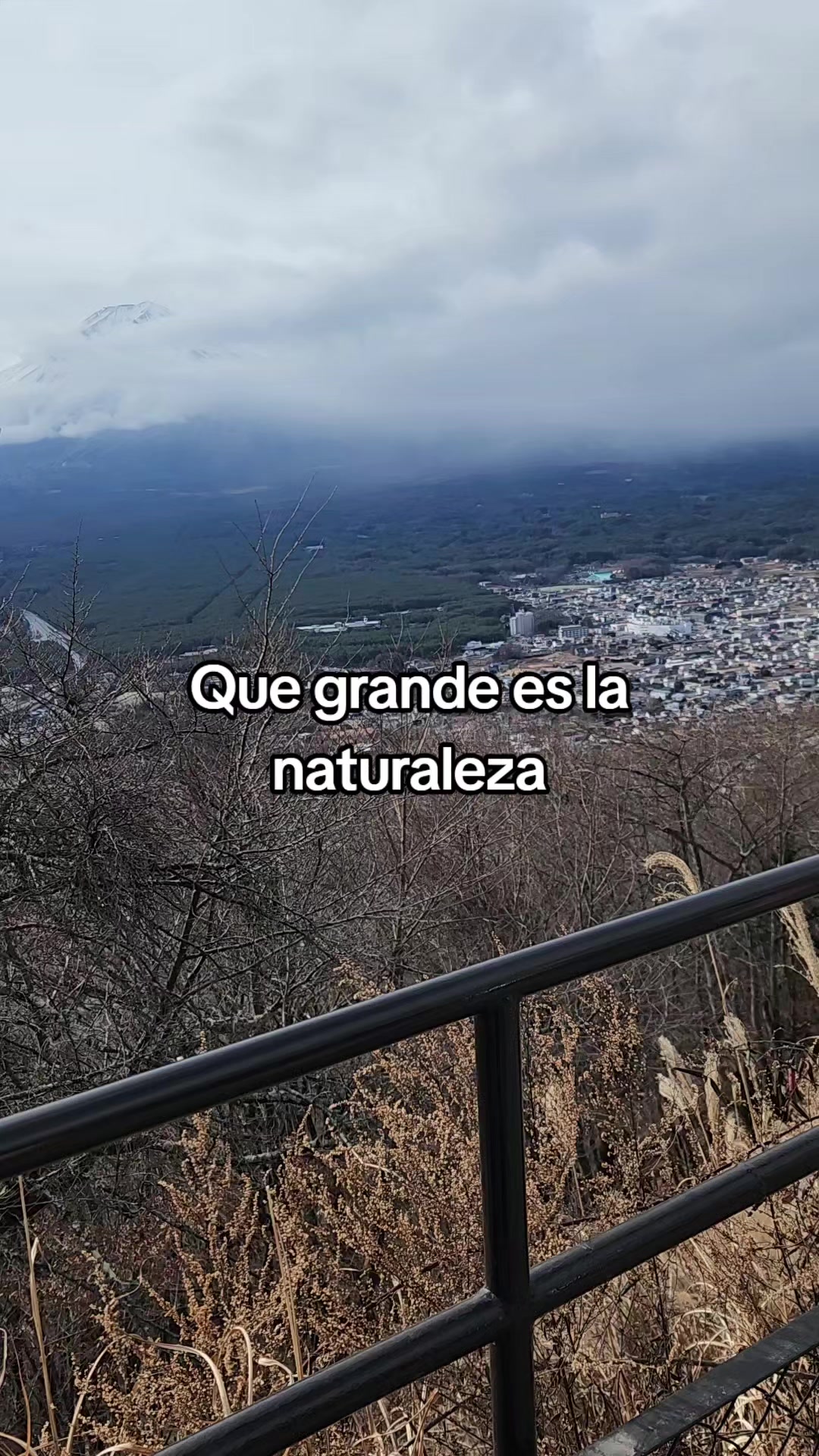 @Daii
