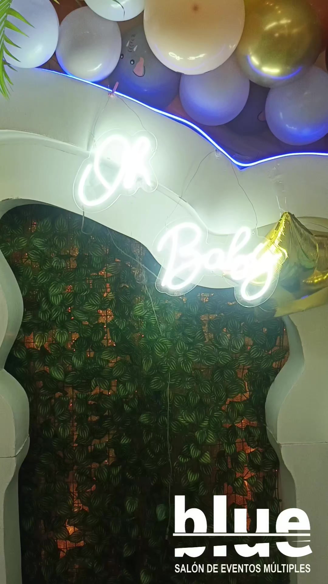 @Roly Decoraciónes