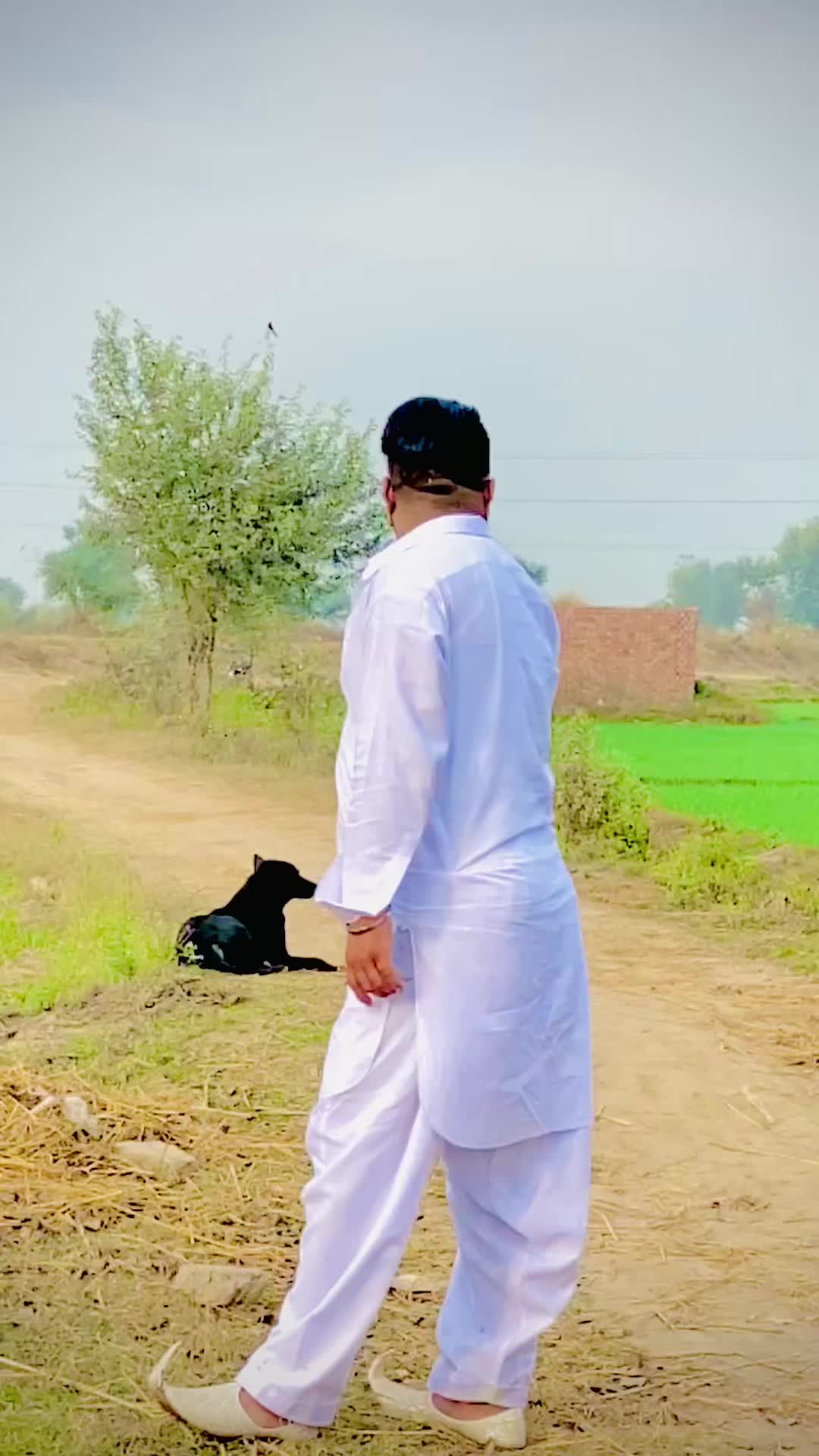 @Ali jutt