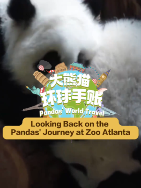 @iPanda