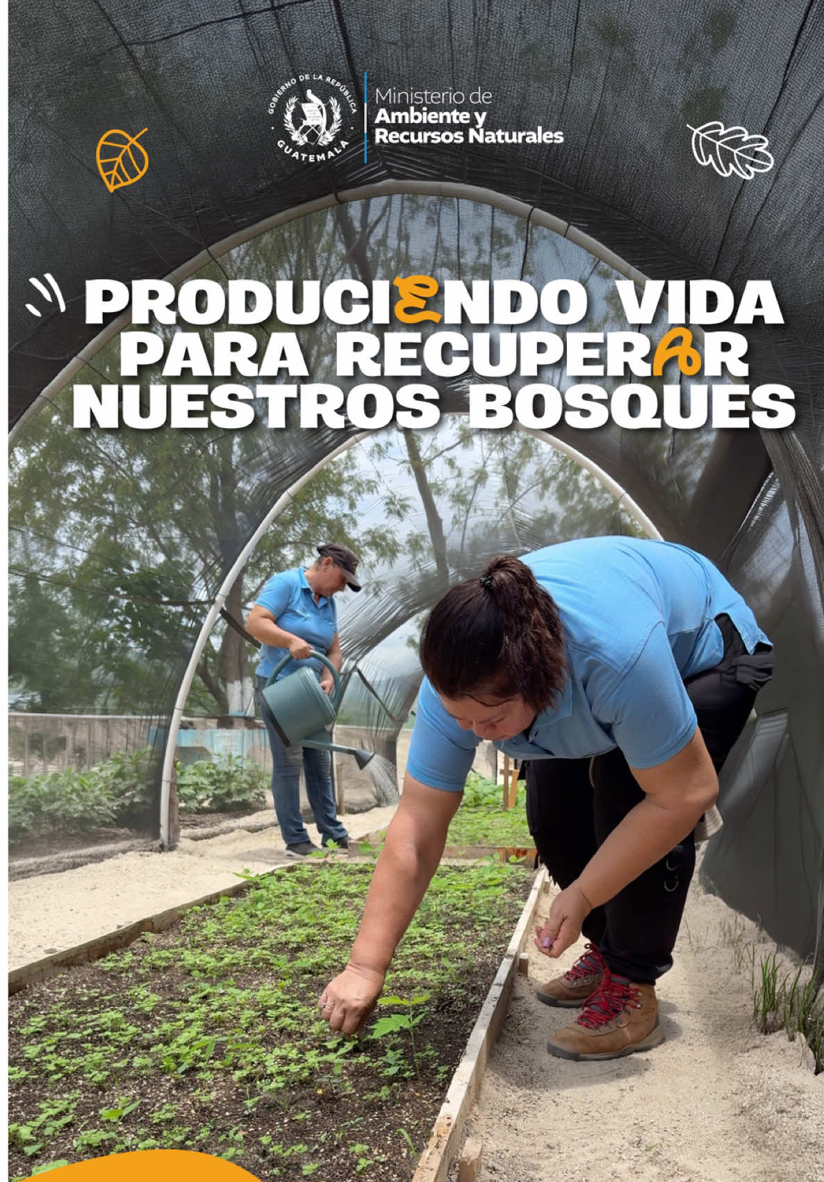 @Ministerio de Ambiente GT