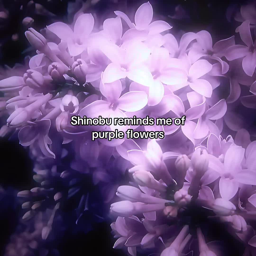@𝓢𝓱𝔂 (Shinobu&rsquo;s version🦋💜)