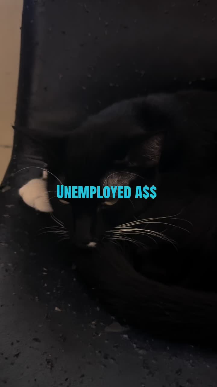 @lazywitch66
