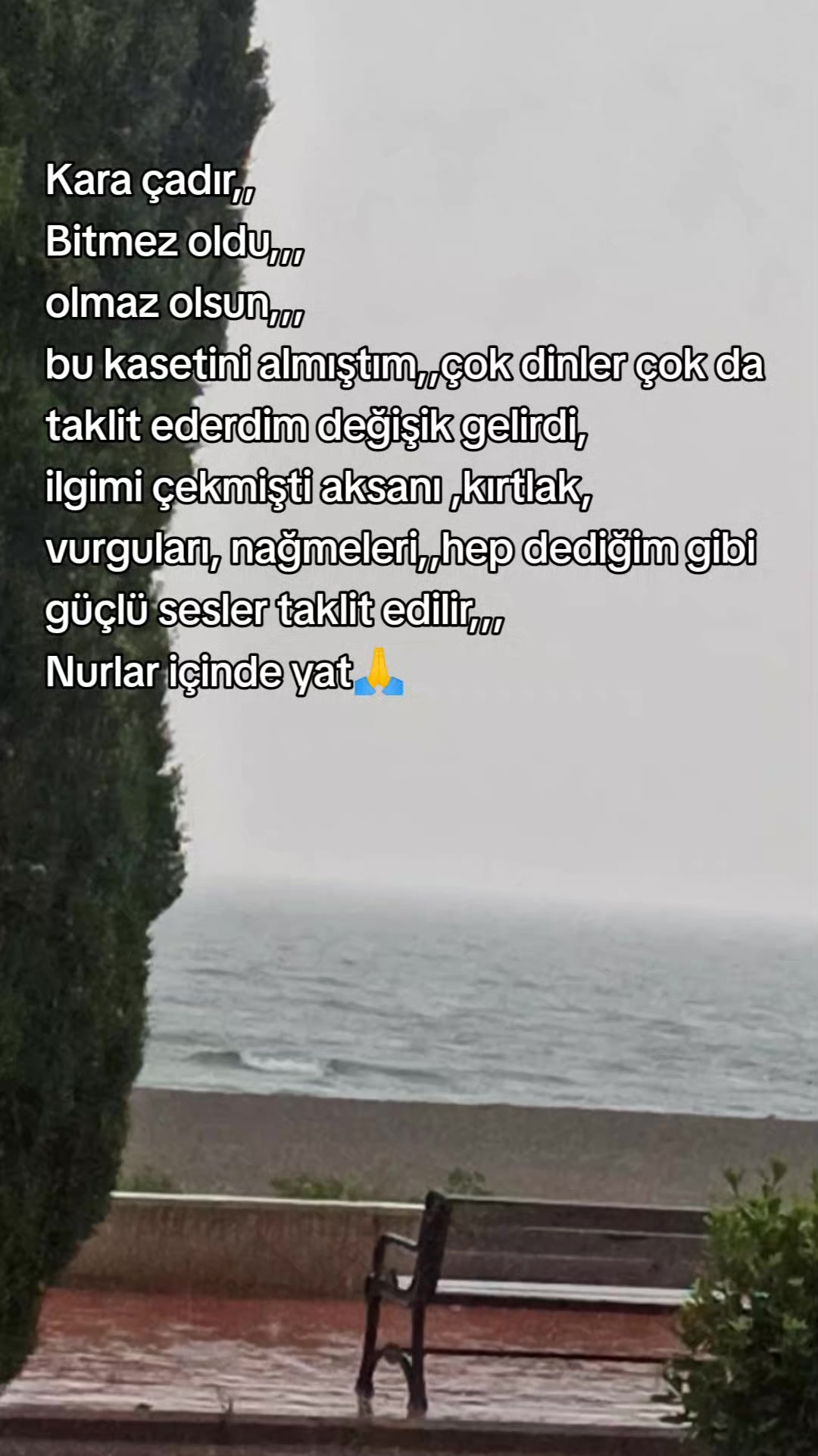 @aslaniçe