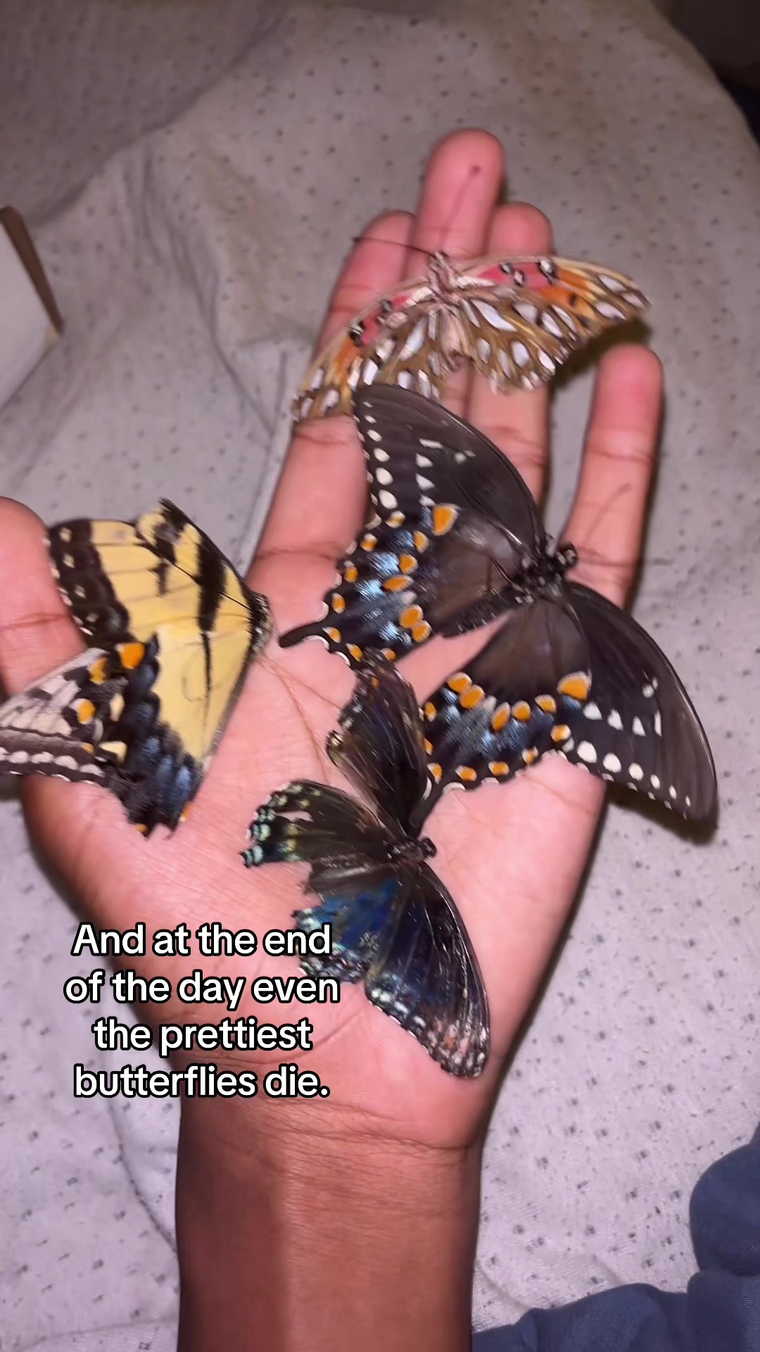 @⚛️Blakeee_Butterfl1y✝️