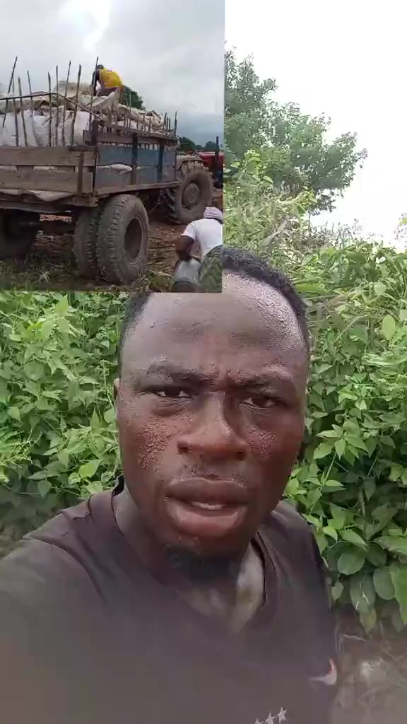 @Africantrumpet 🎺🎺🎺