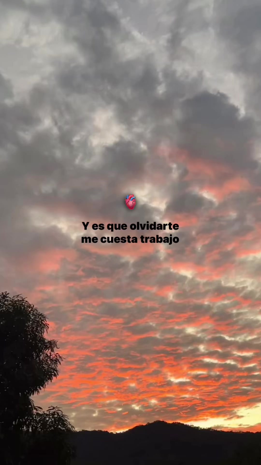@️𝓖𝓪𝓫𝓻𝓲𝓮𝓵🧟