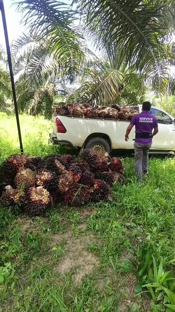 @RoHaIzAd_Rahim🇲🇾🇲🇾