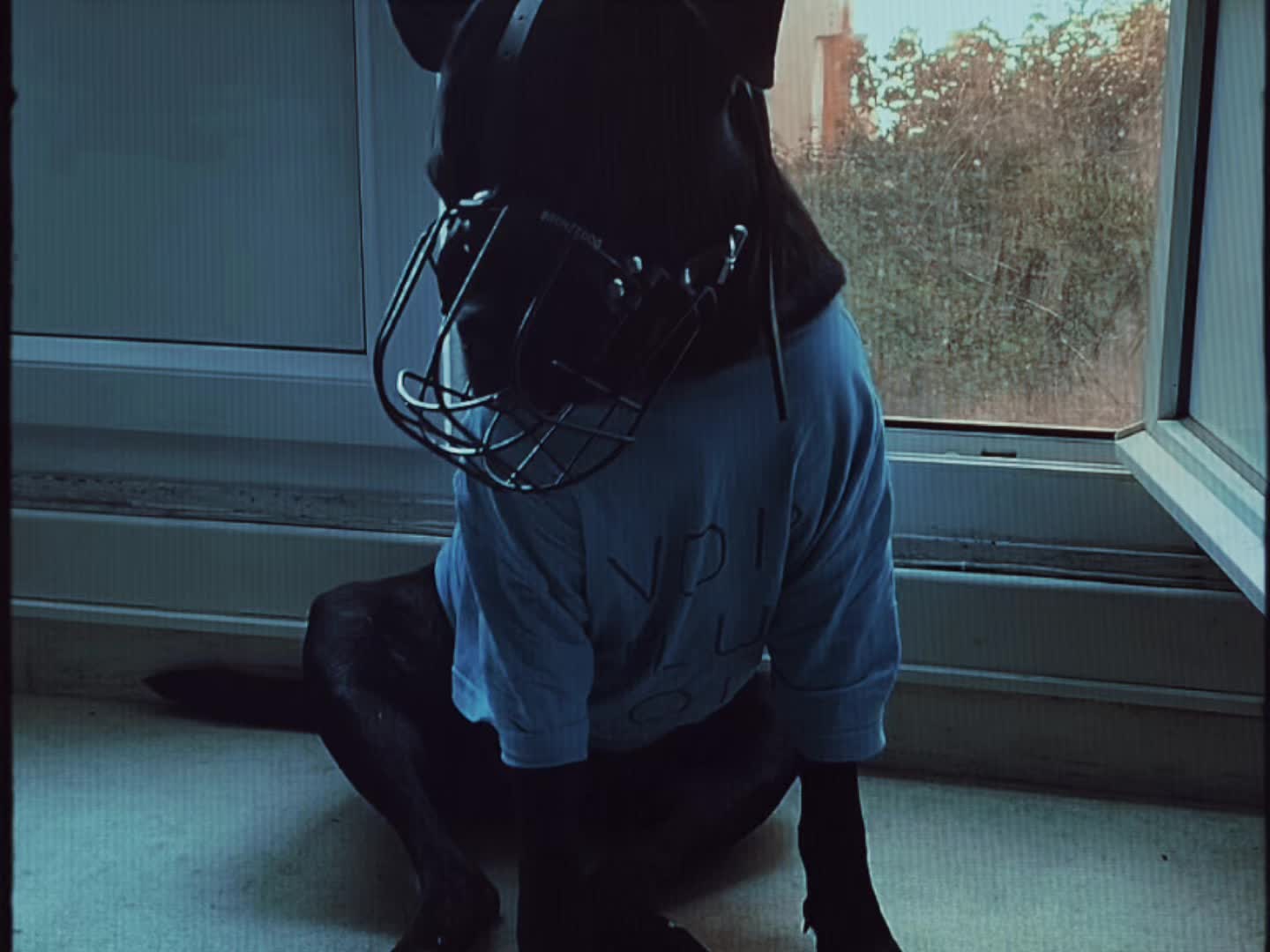@les.aventures.de.naya