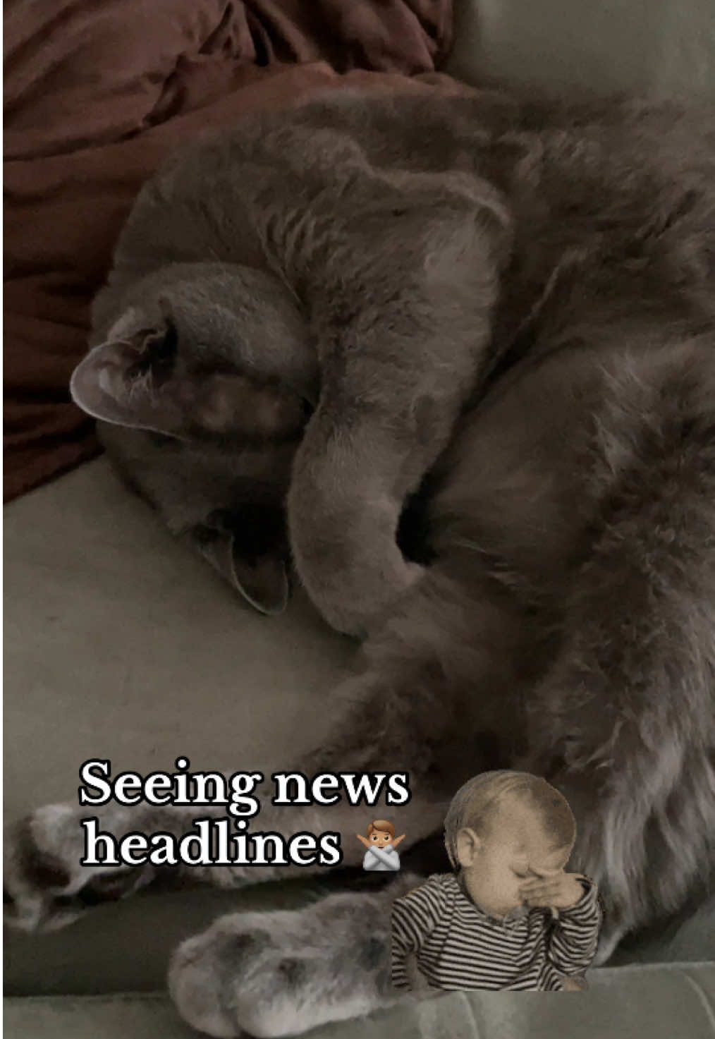 @ACatNamedMushroom