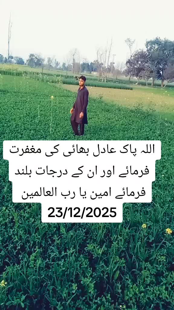 @Amir Meo