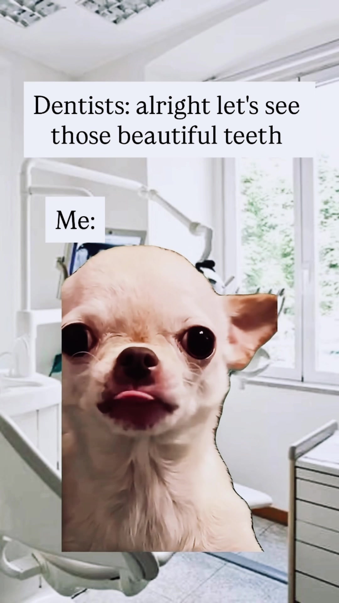 @Aᴇsᴛʜᴇᴛɪᴄs & Dᴇɴᴛᴀʟ Wᴏʀᴋ's🦷