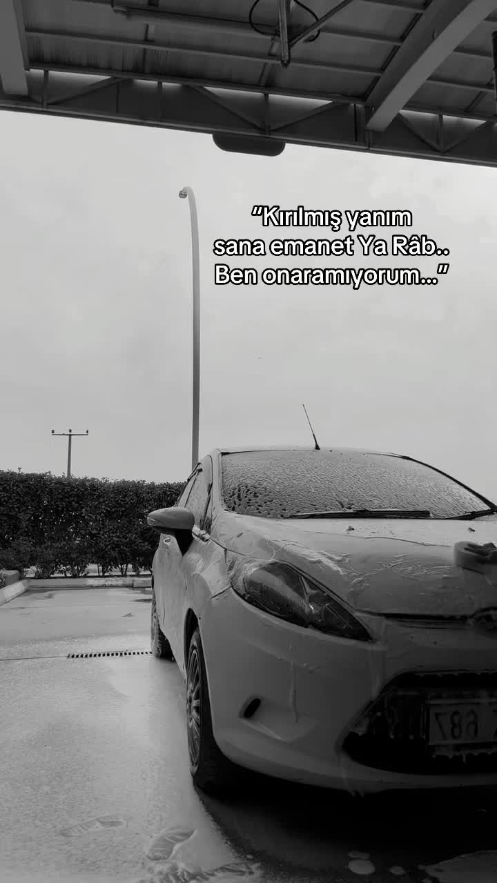 @𝓩𝓮𝓱𝓻𝓪