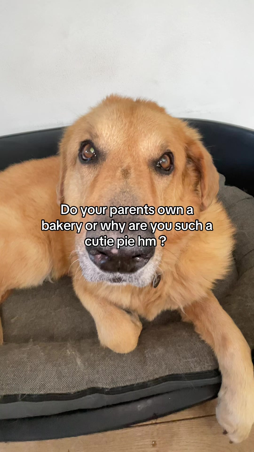 @Neo