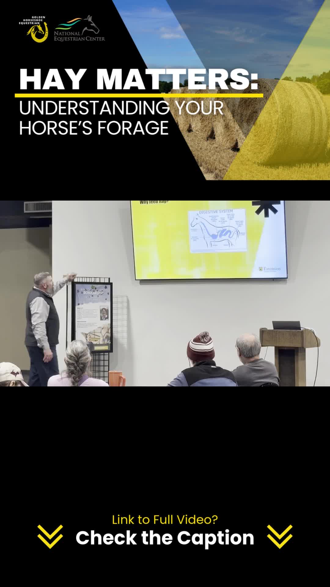 @Golden Horseshoe Equestrian