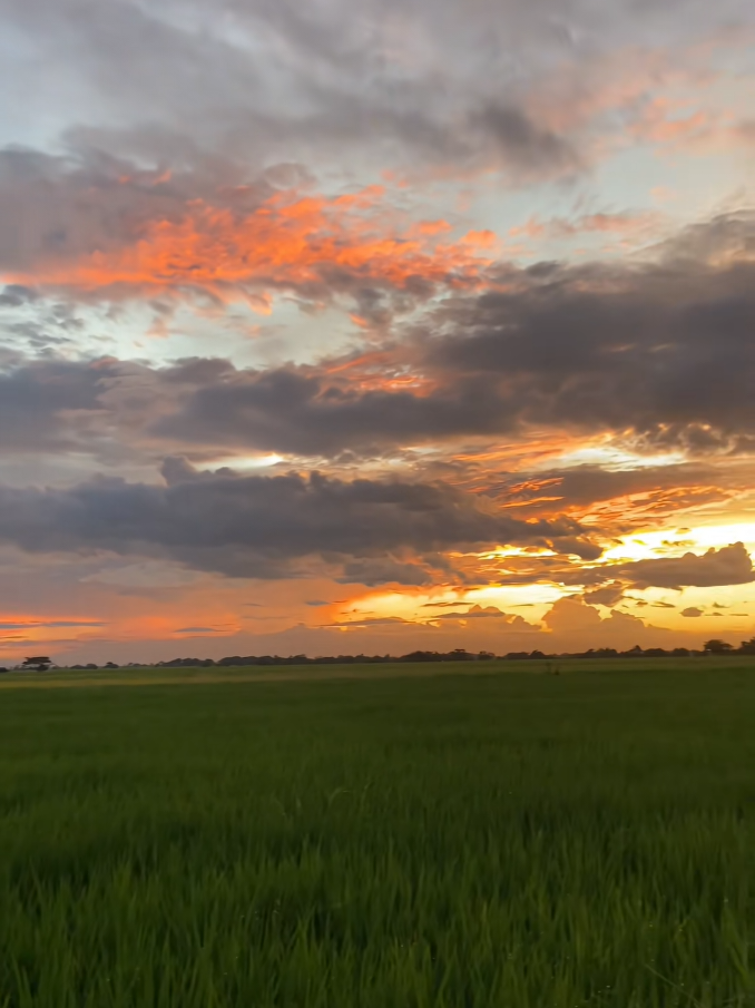 @โ.๐ ฬ