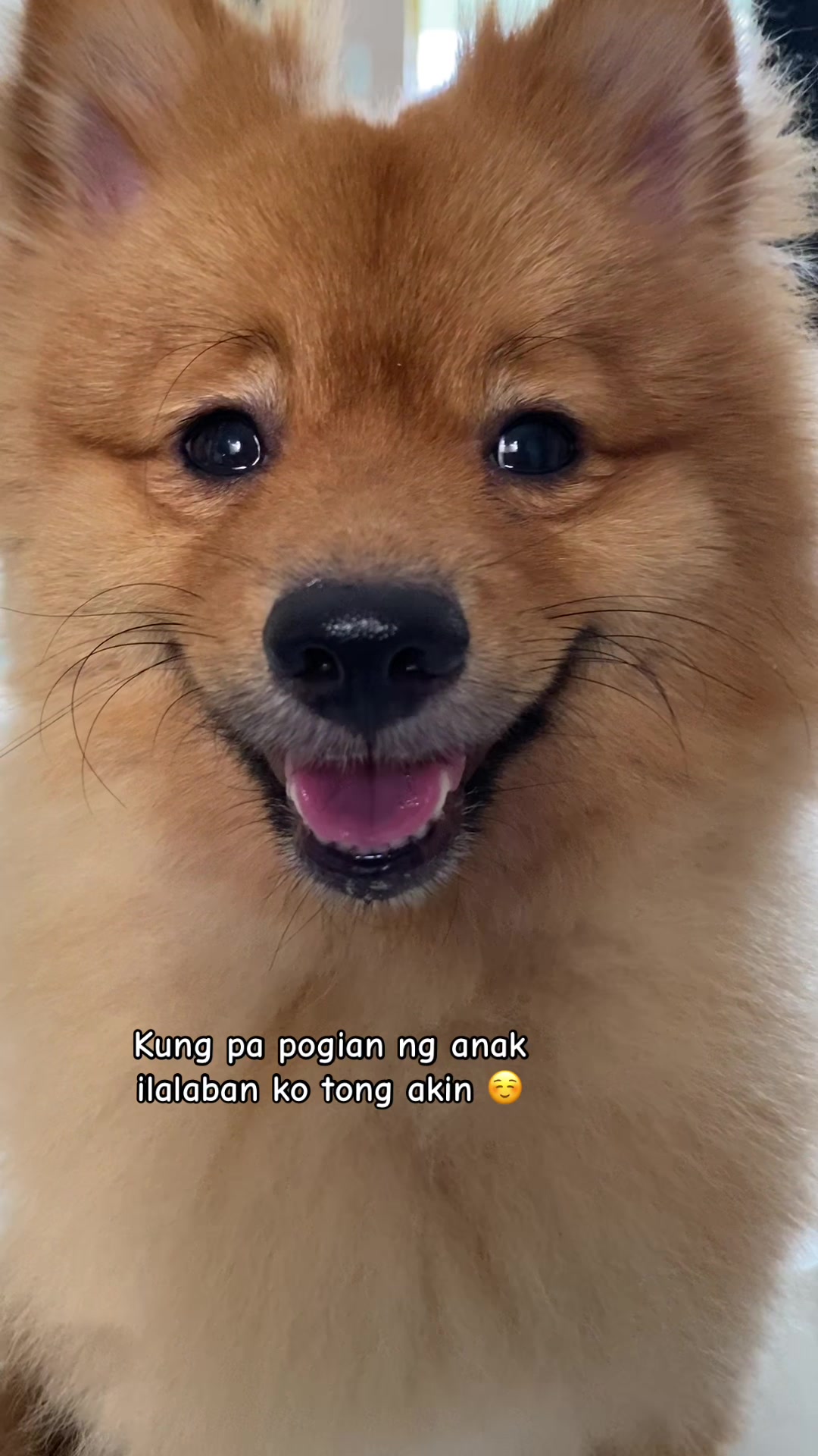 @SARA