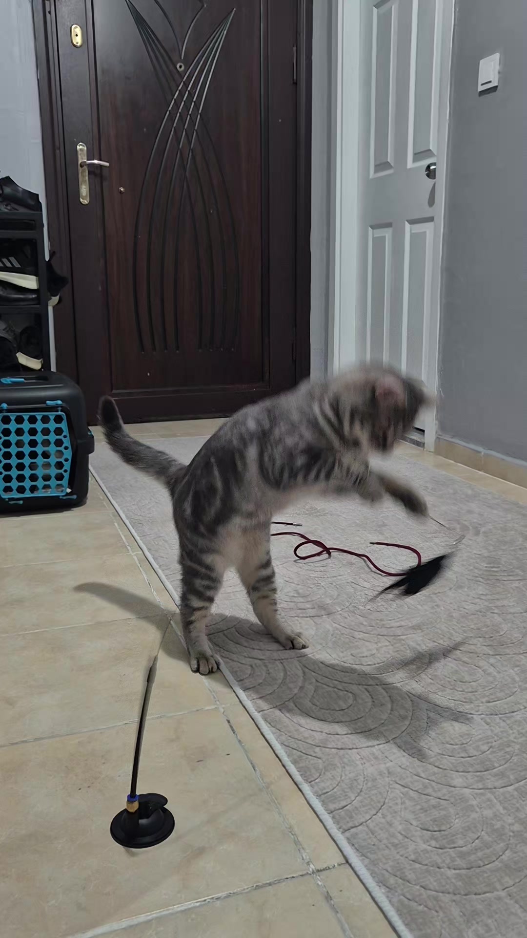 @ᗴᑕᖇᎥᑎ1907