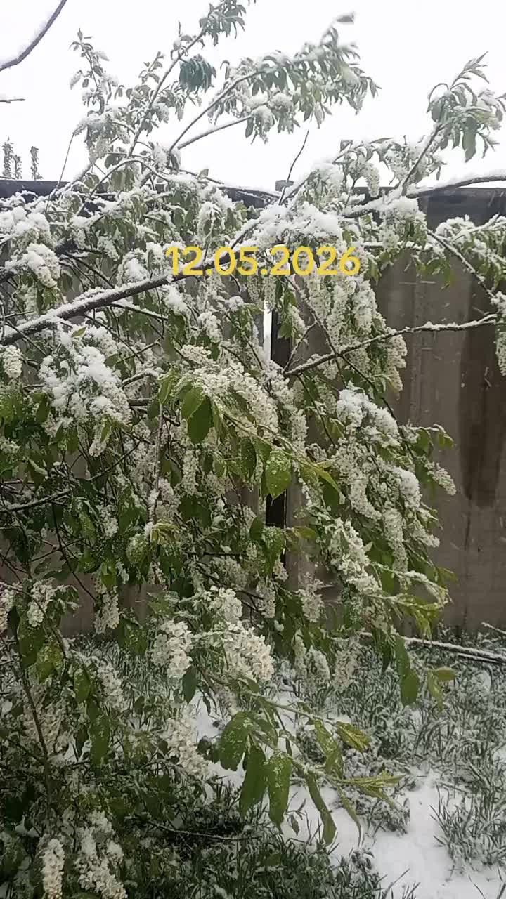 @Артурыч