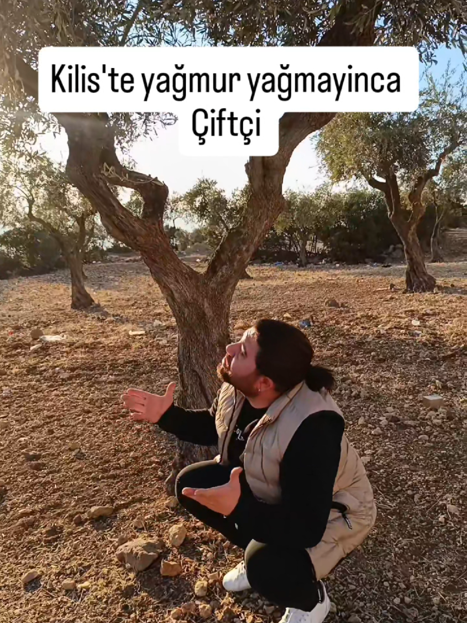 @anilkaraylan
