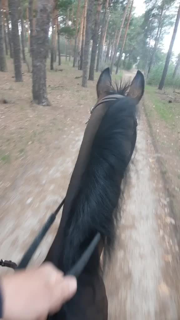 @Александр Червяков