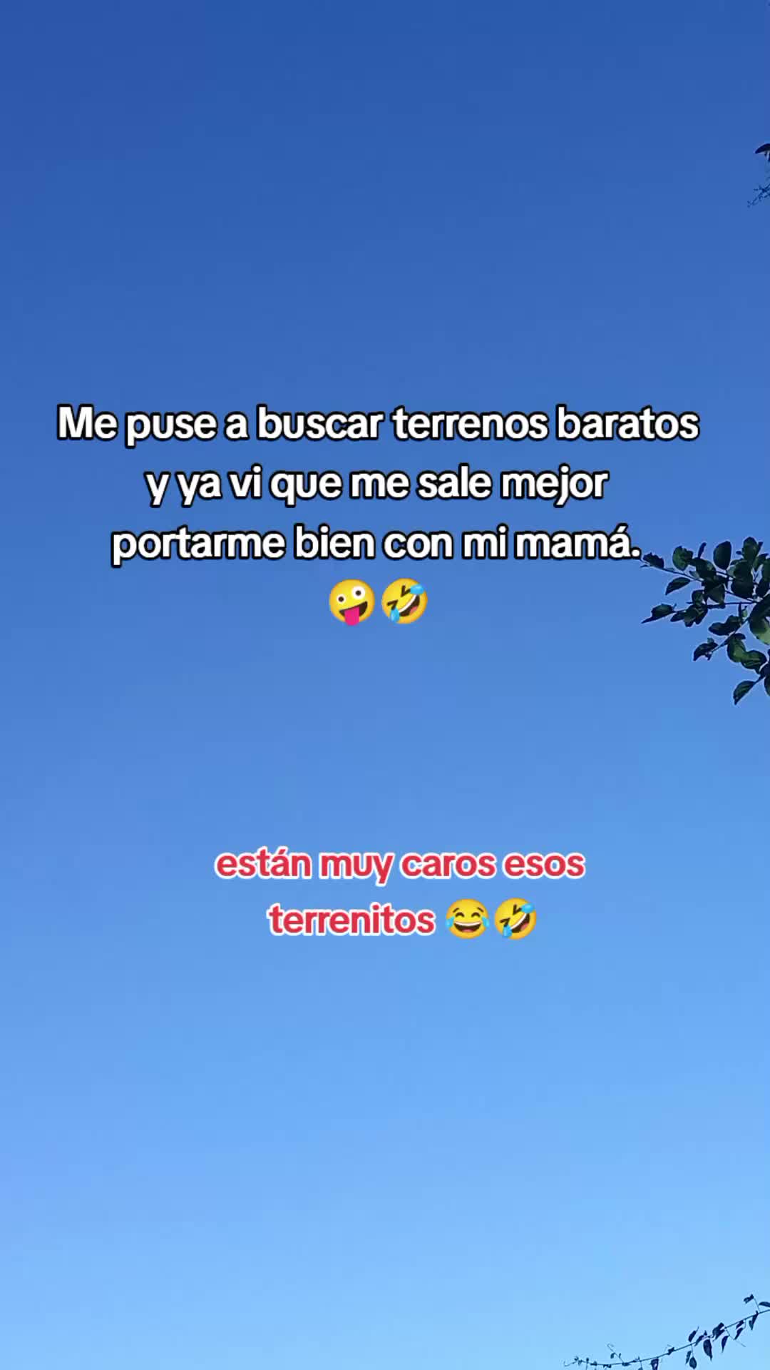 @Sebastián 74