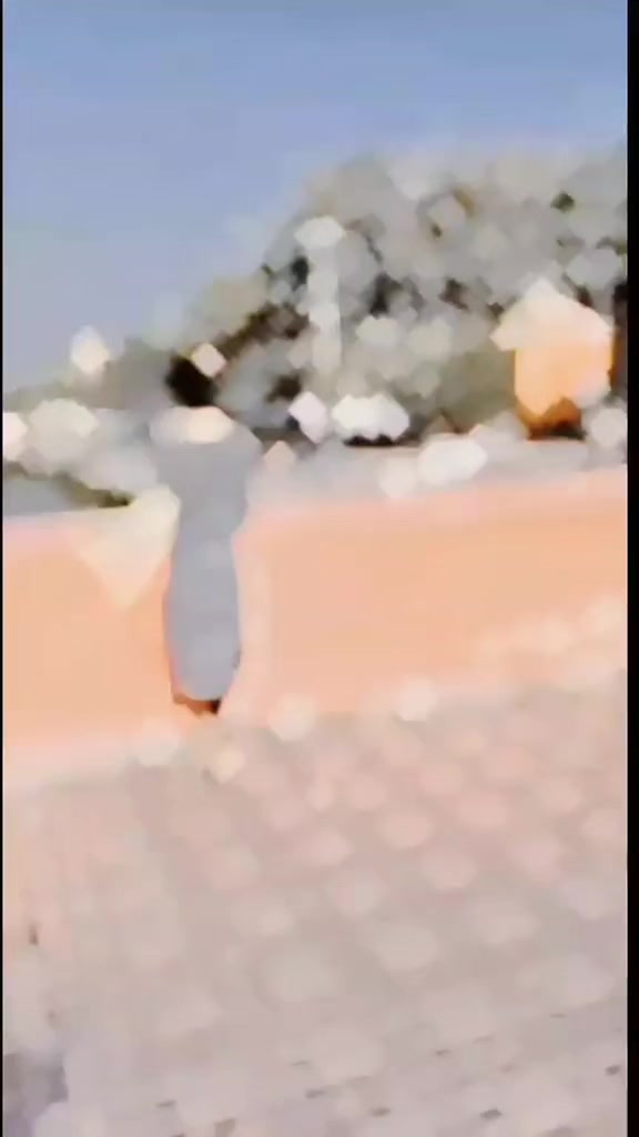 @꧁༺ 𝓐𝓪𝓬𝓱𝓪𝓵 𝓙𝓱𝓪 ༻꧂