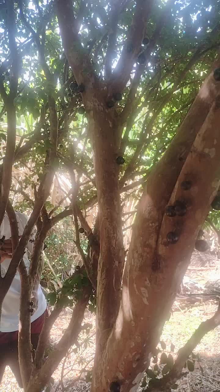@Miriam Maria