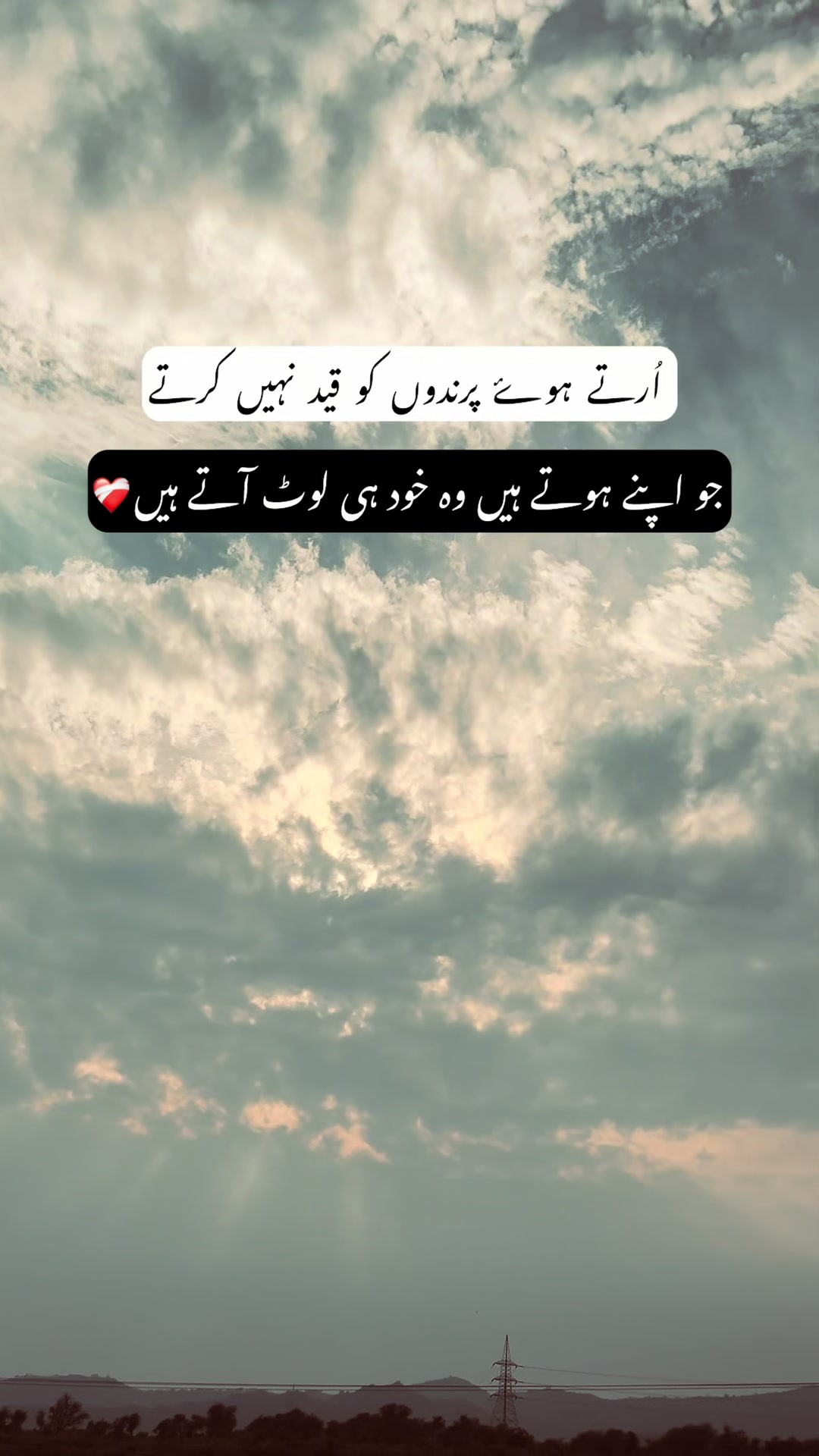 @چوہدری🪐