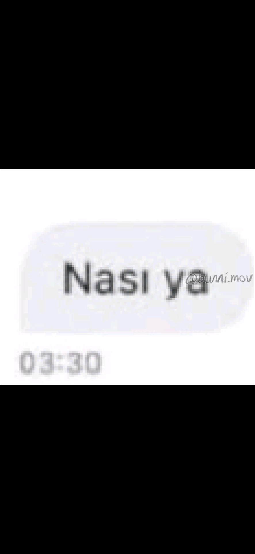 @bunni.mov