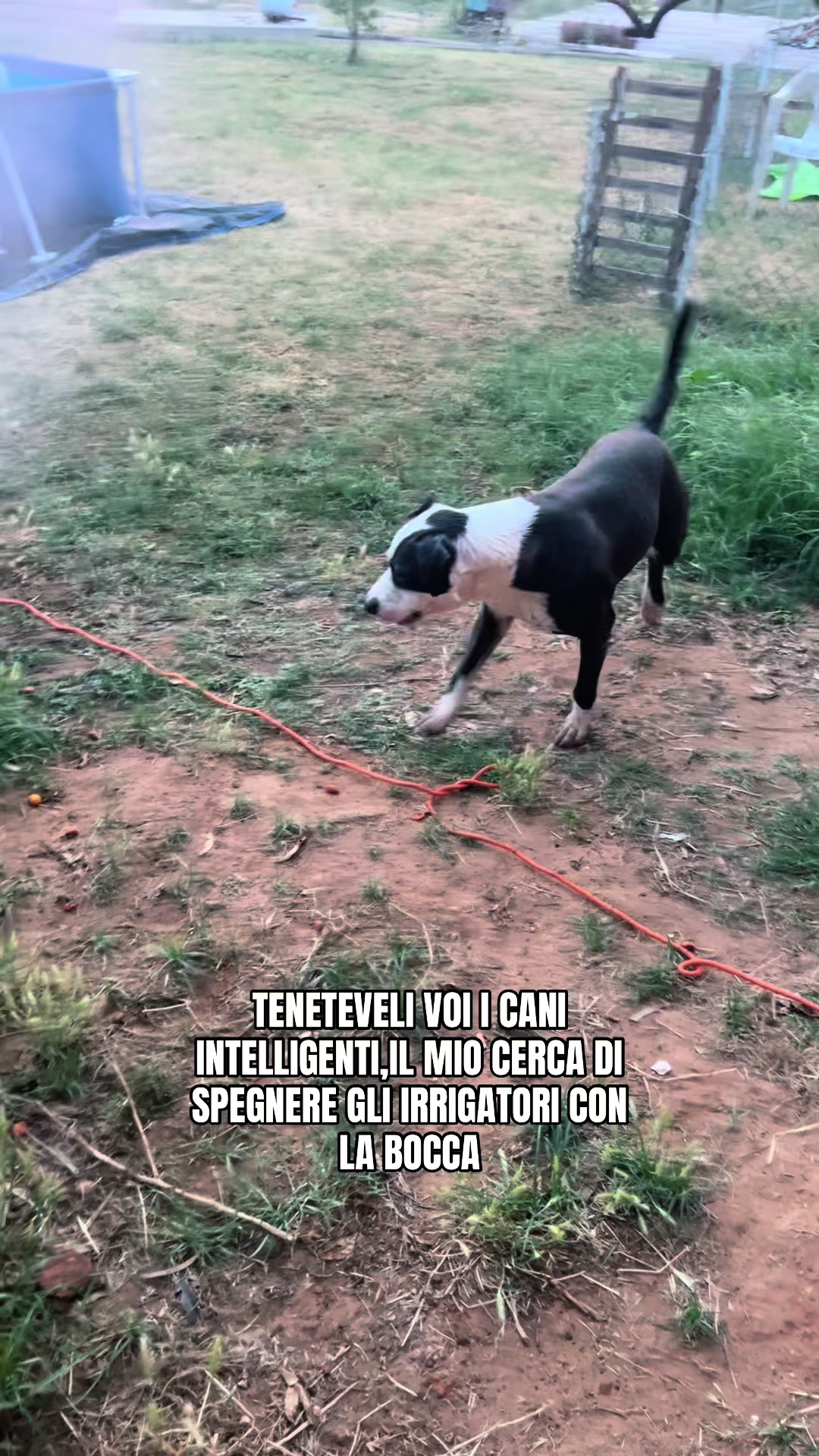 @veronique.unicoprofilo