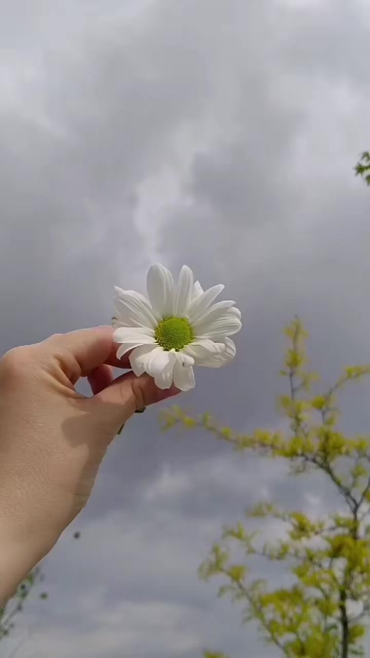 @S.S(koç kadını)