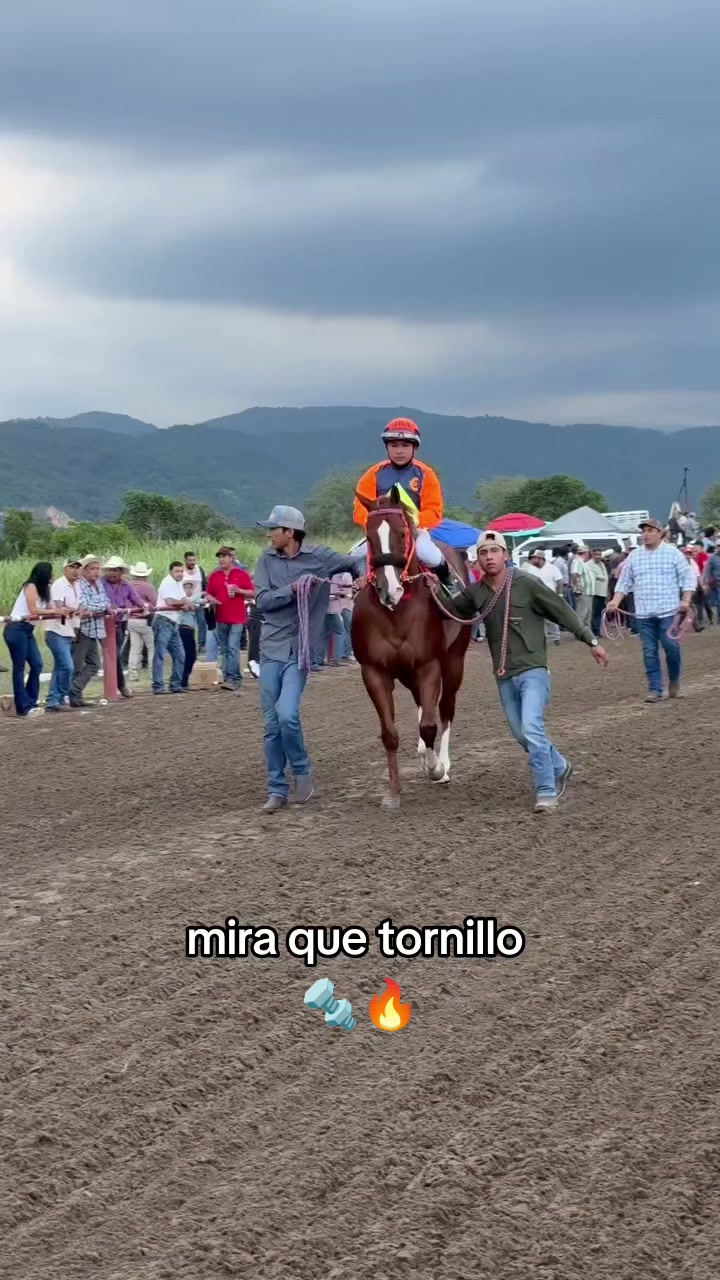 @carriles altos de jalisco🐎