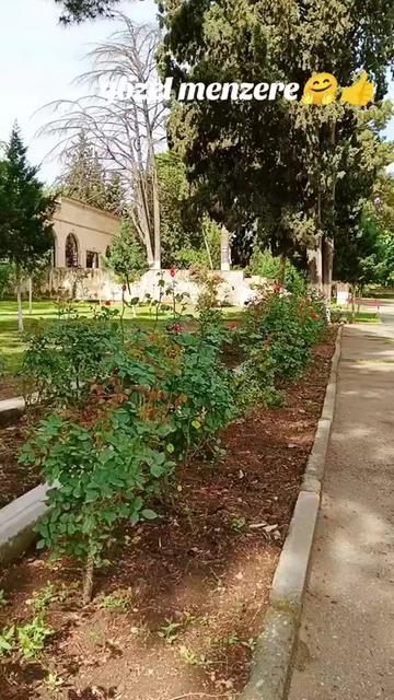@qara...kız❤️🩹