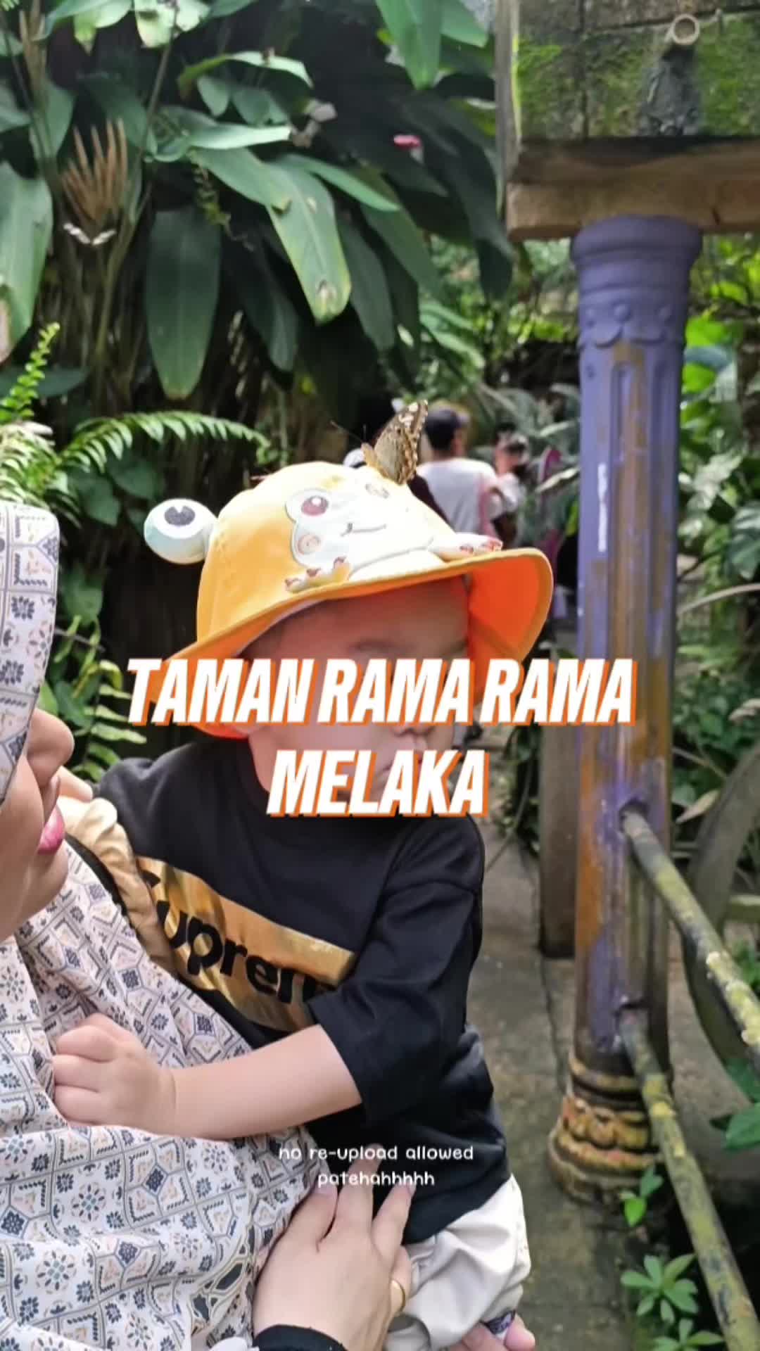 @Patehah